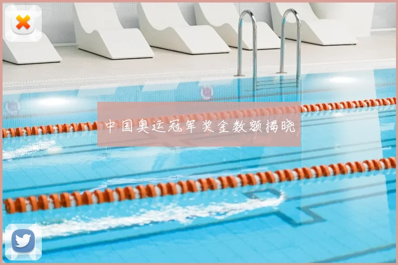 中国奥运冠军奖金数额揭晓