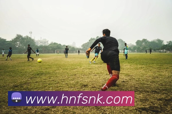 乐竞在线登陆平台生态图